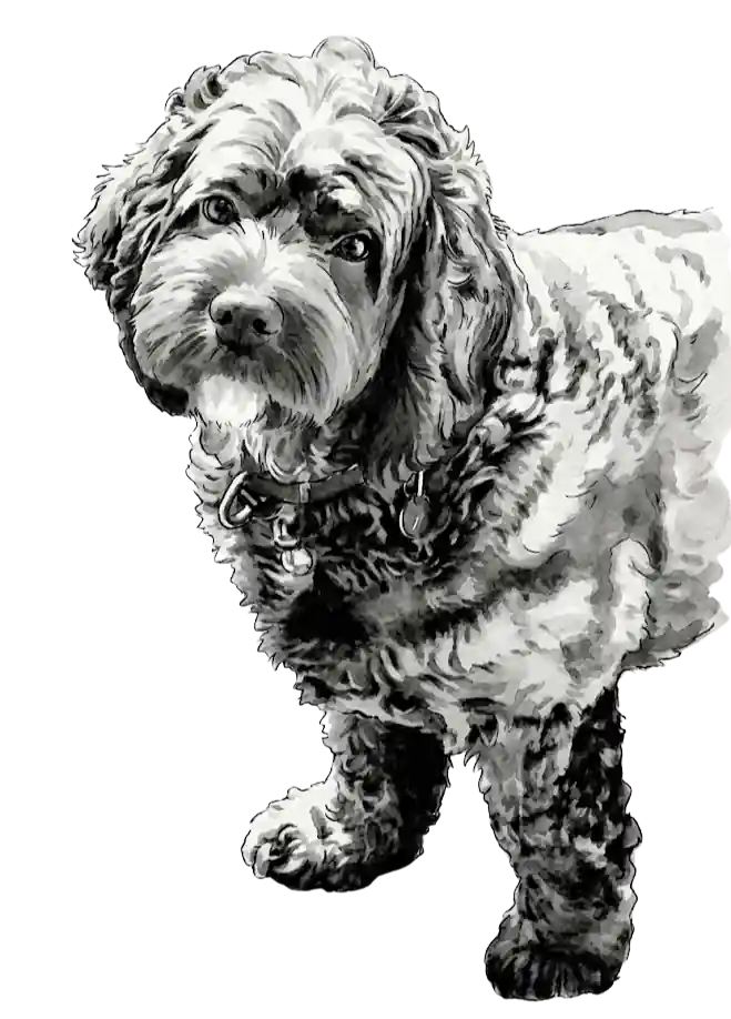 Finnegan